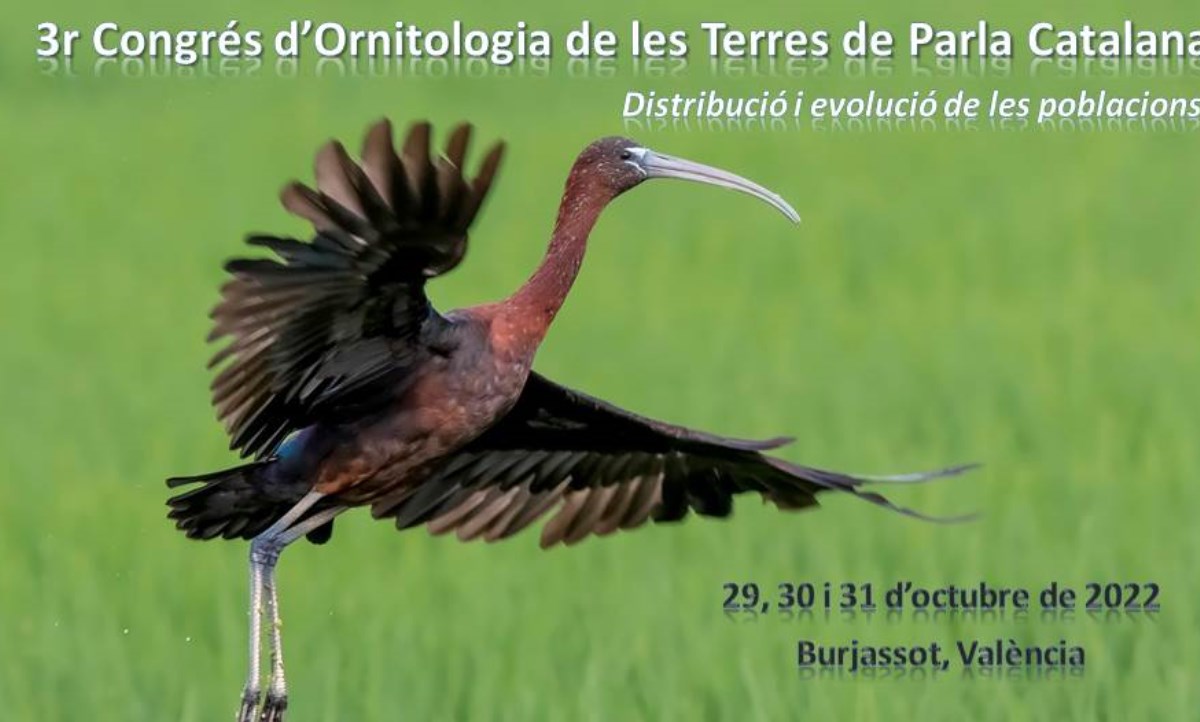 3r COTPC. Inscripcions obertes al congrés d'ornitologia