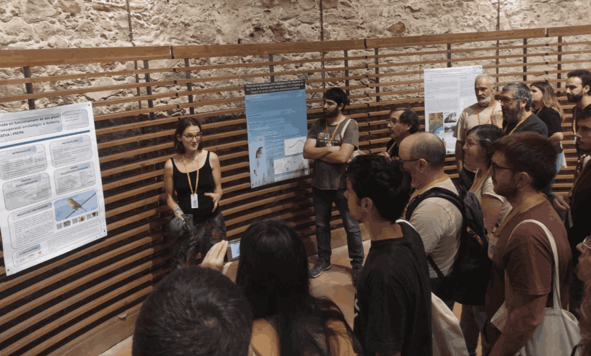 AR+I porta al IV Congrés d’Ornitologia de les Terres de Parla Catalana les novetats andorranes
