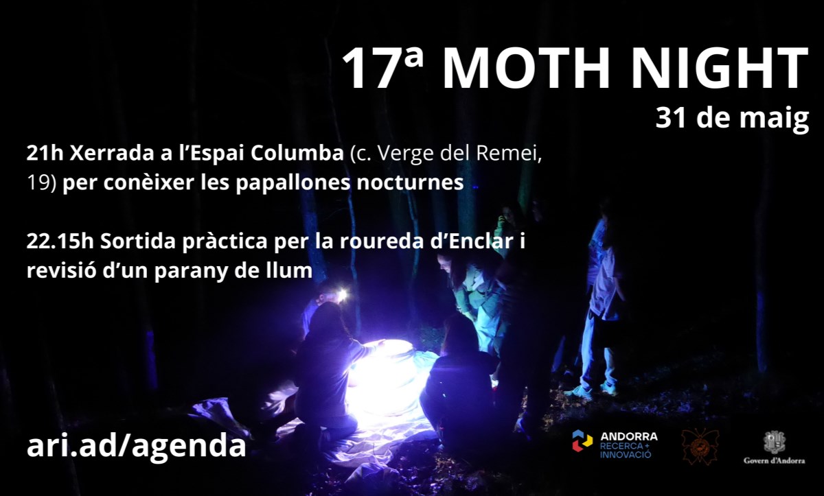 Celebració de la 17ª Moth Night