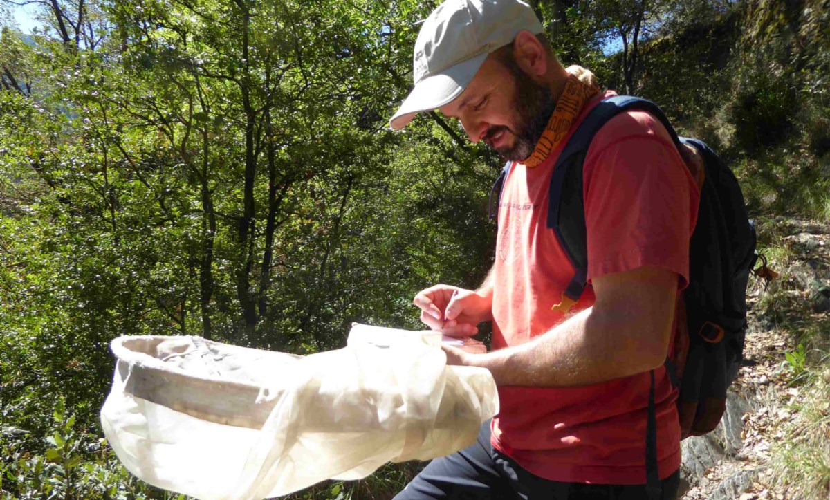 Com anar d’Encamp a Beirut comptant papallones