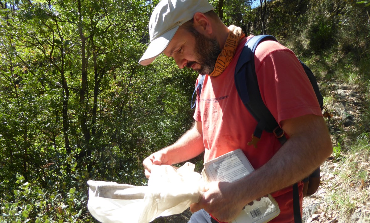 Conclou una 16ª temporada “atípica” de l’estudi de seguiment de papallones diürnes d’Andorra