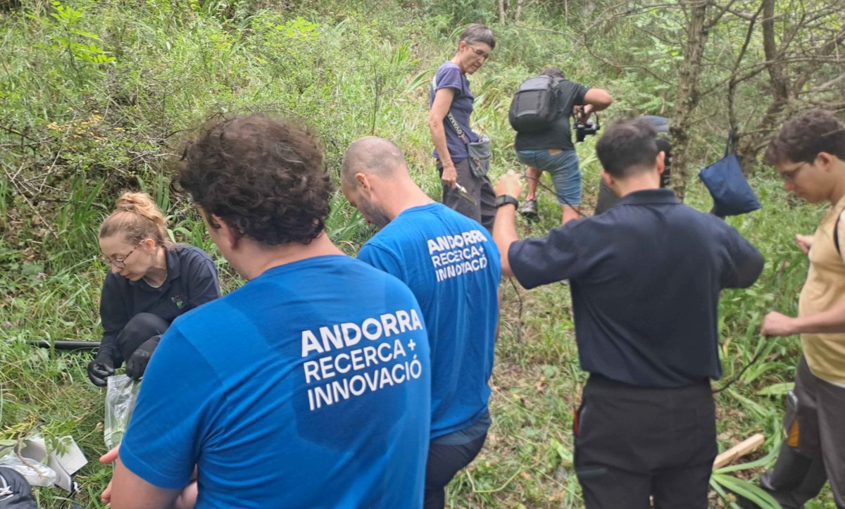 Desplegada a Andorra la xarxa sense fil de sensors per a la detecció precoç d’incendis