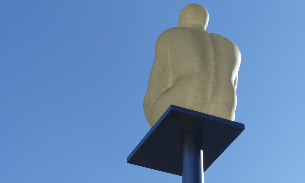 Enquesta d'opinió política 2022