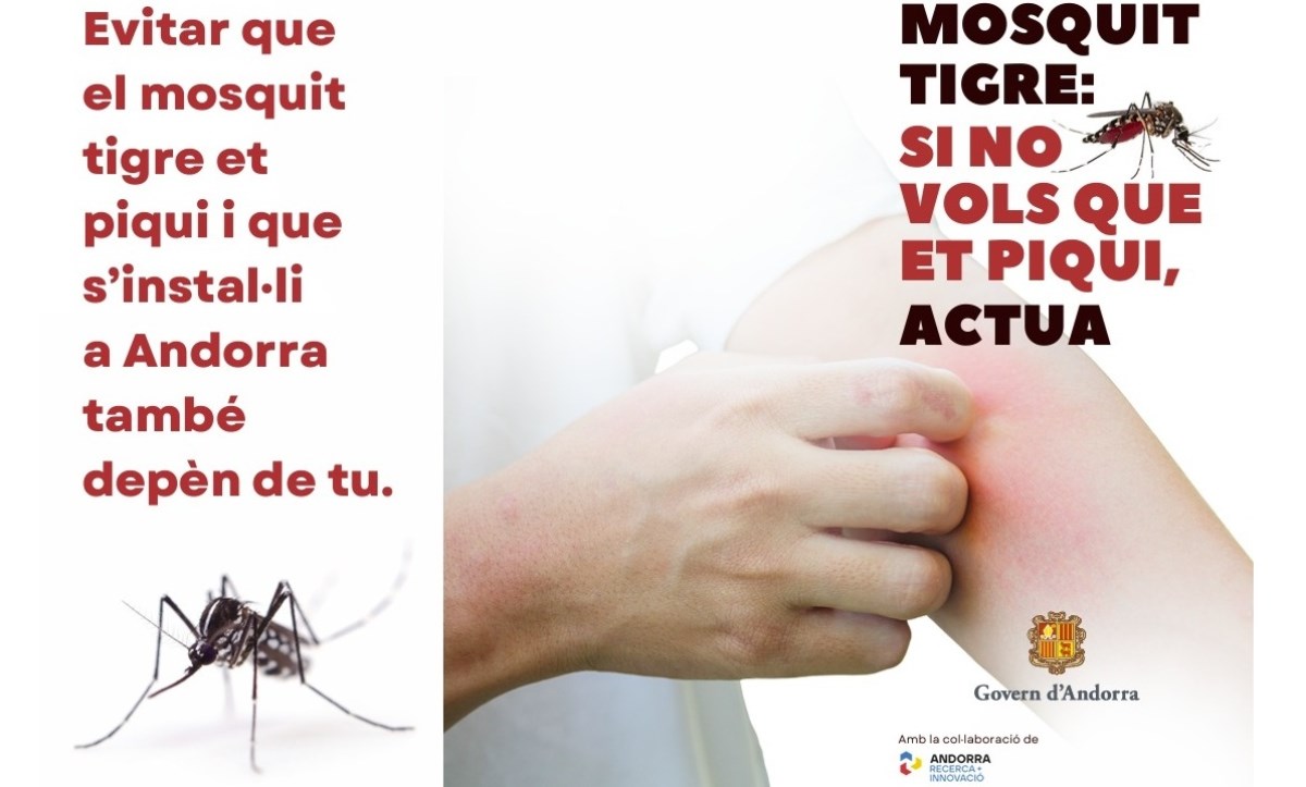 Es posa en marxa una campanya d’informació i divulgació de consell pràctics per combatre la propagació del mosquit tigre 