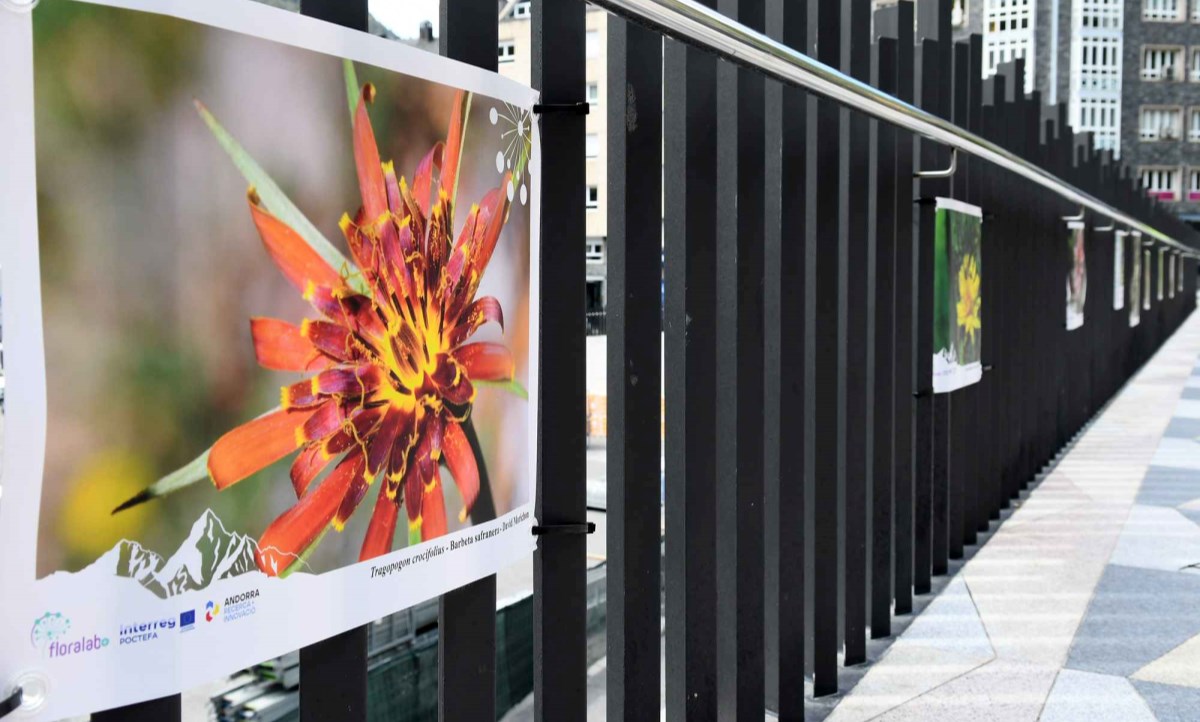 Estrena de l’exposició itinerant ‘La Flora del Pirineu’