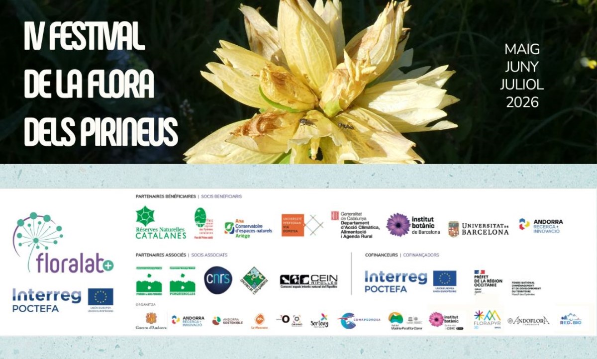 El Festival de la Flora dels Pirineus torna el 2026 per a tots els públics
