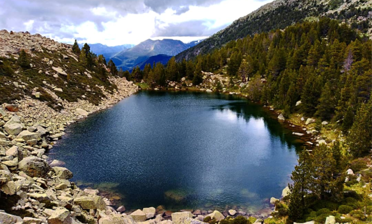 Finalitza el projecte OPCC ADAPYR