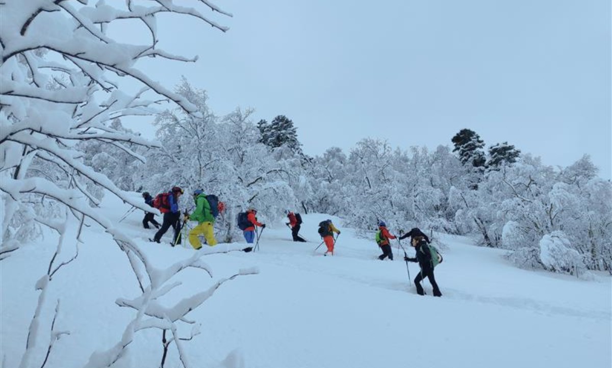 Formacions EDNA 2026