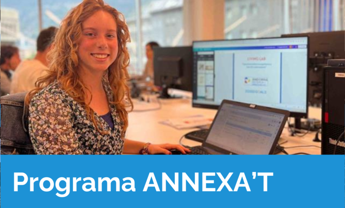 T’agradaria formar-te com a investigador/a aquest estiu?