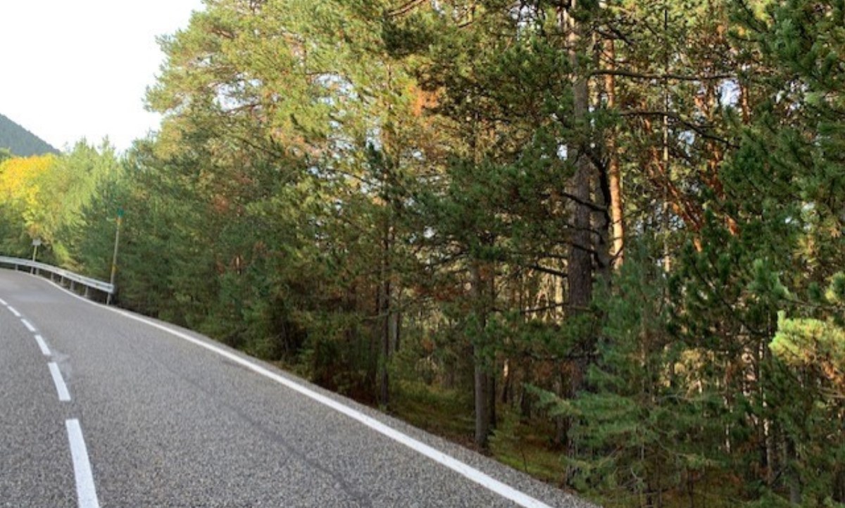 L’autoconsum de llenya, una activitat tradicional que es vol recuperar a través d’una prova pilot