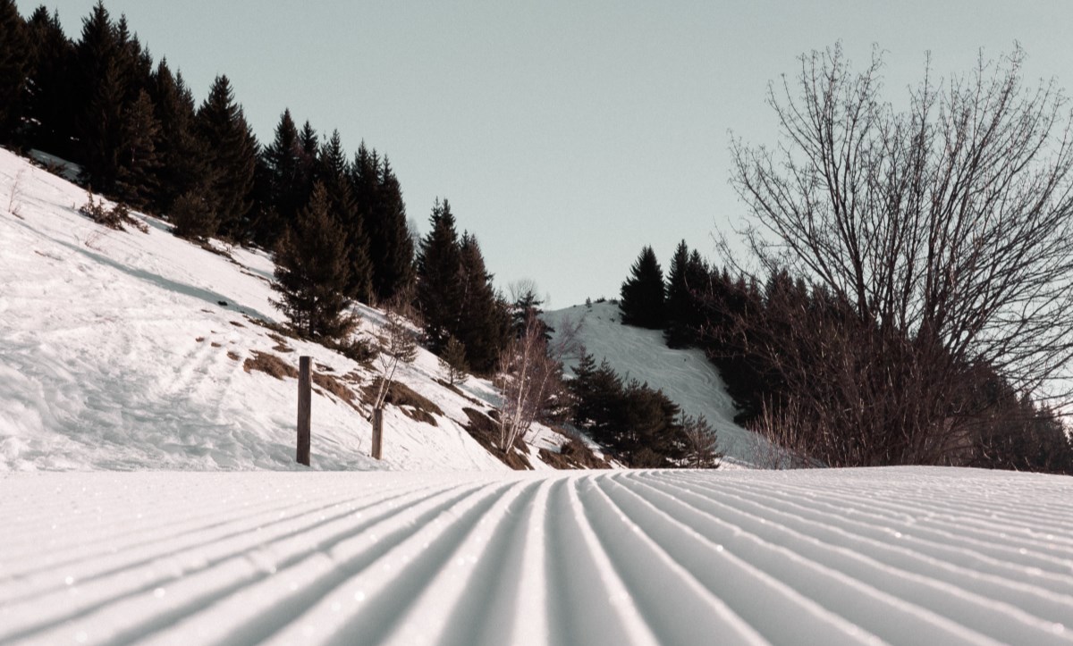 L’esquí de fons i el telemark, a fons!