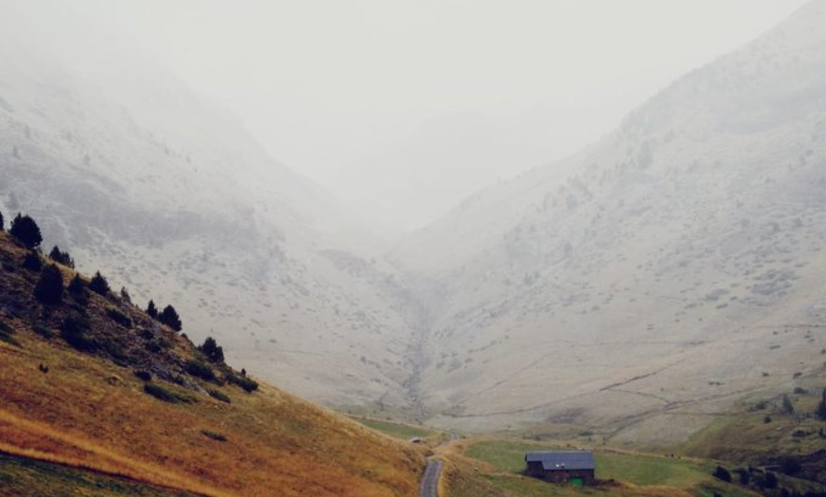 Oportunitat per a un investigador Postdoctoral