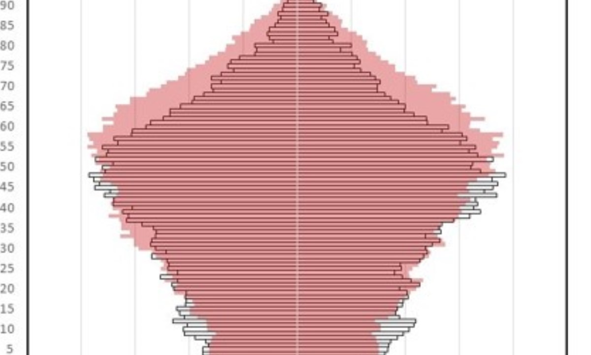 Projecció demogràfica 2020-2031 