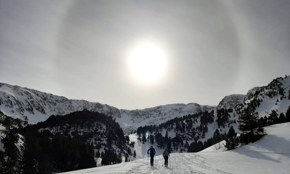 Following of snow meteorological episodes and avalanches.