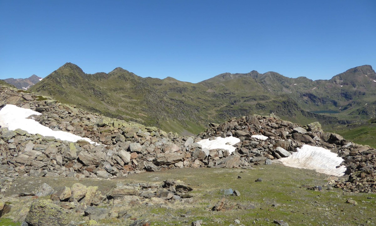 Following of snowdrift vegetation