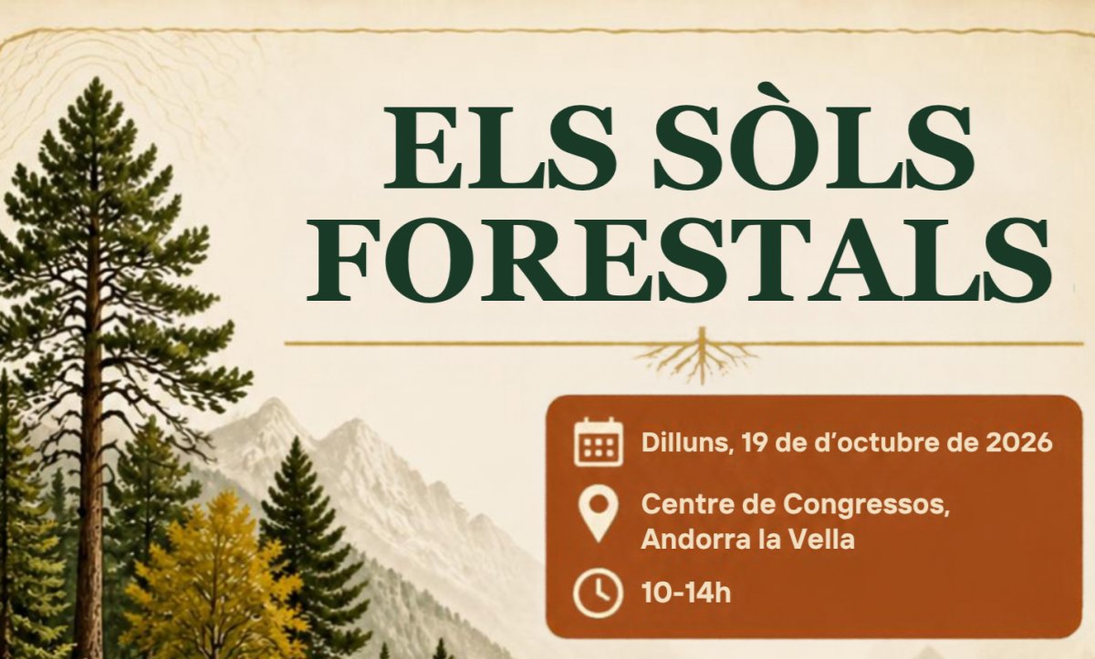 Seminari sobre sòls forestals