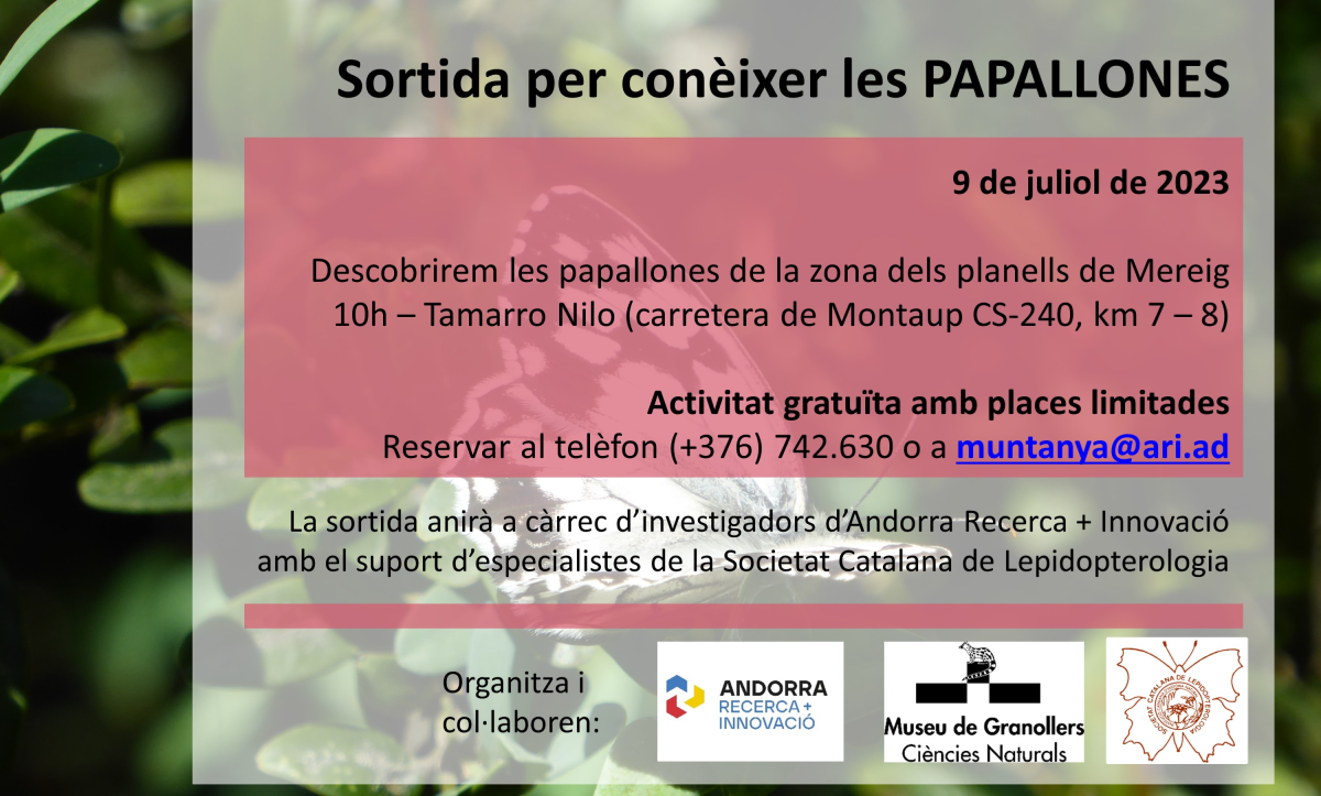 Sortida per conèixer les papallones d’Andorra