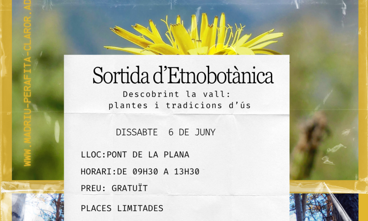 Sortida d’etnobotànica per descobrir la relació entre natura i cultura