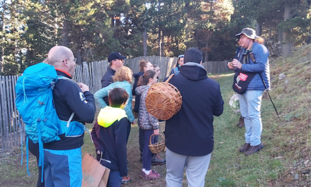 Sortides micològiques a Ràmio (23-S) i Naturland (14-O)